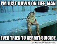 funny-sad-depressed-frog-toad-down-life-kermit-suicide-pics.jpg