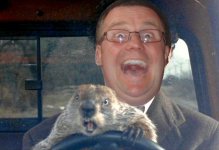 groundhog-day-driving.jpg