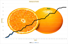 Orange Graph.png
