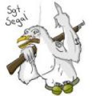 SeagullSarge
