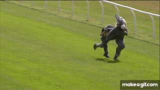 1748867508399.gif