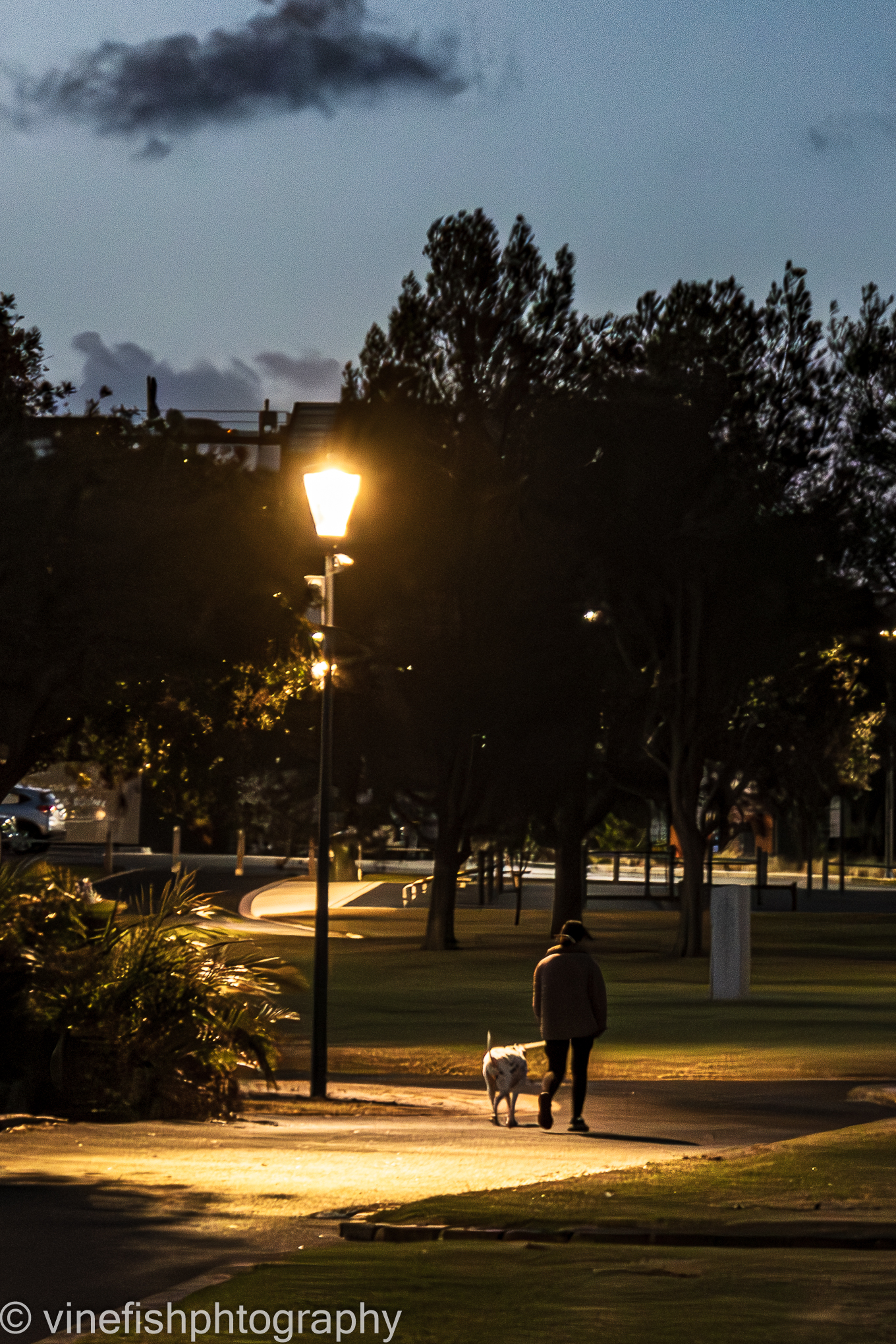 2025-05-27 Rippleside Park-11.jpg