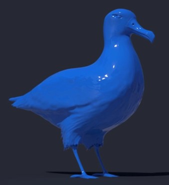 Blue Gull 2.jpg