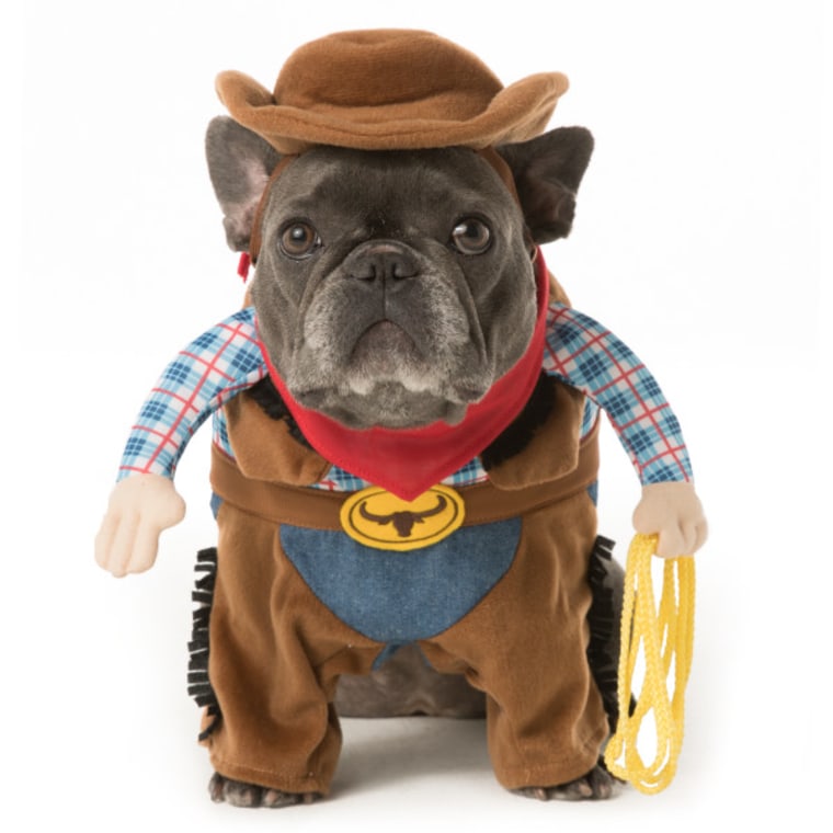 dog-halloween-costume-cowboy-today-16-09-13.jpg