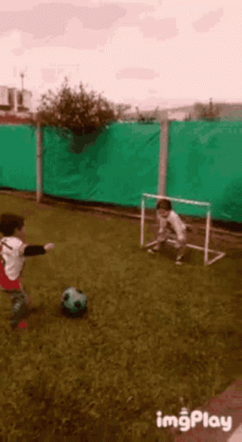 IMG_4157.gif