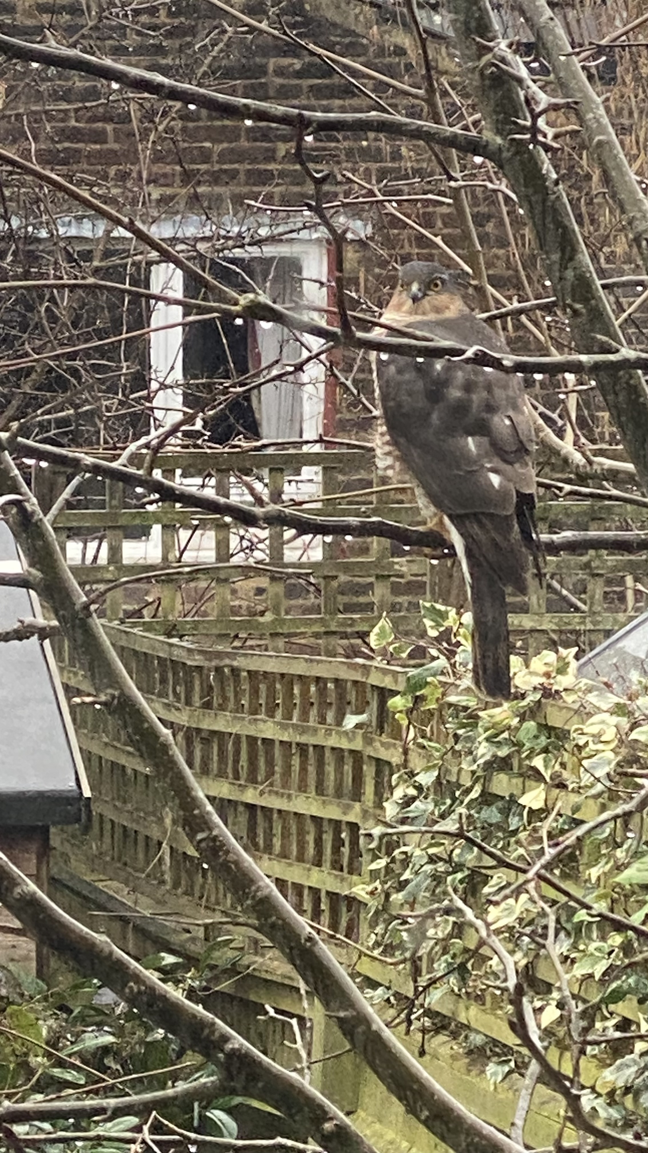 IMG_5664.jpeg