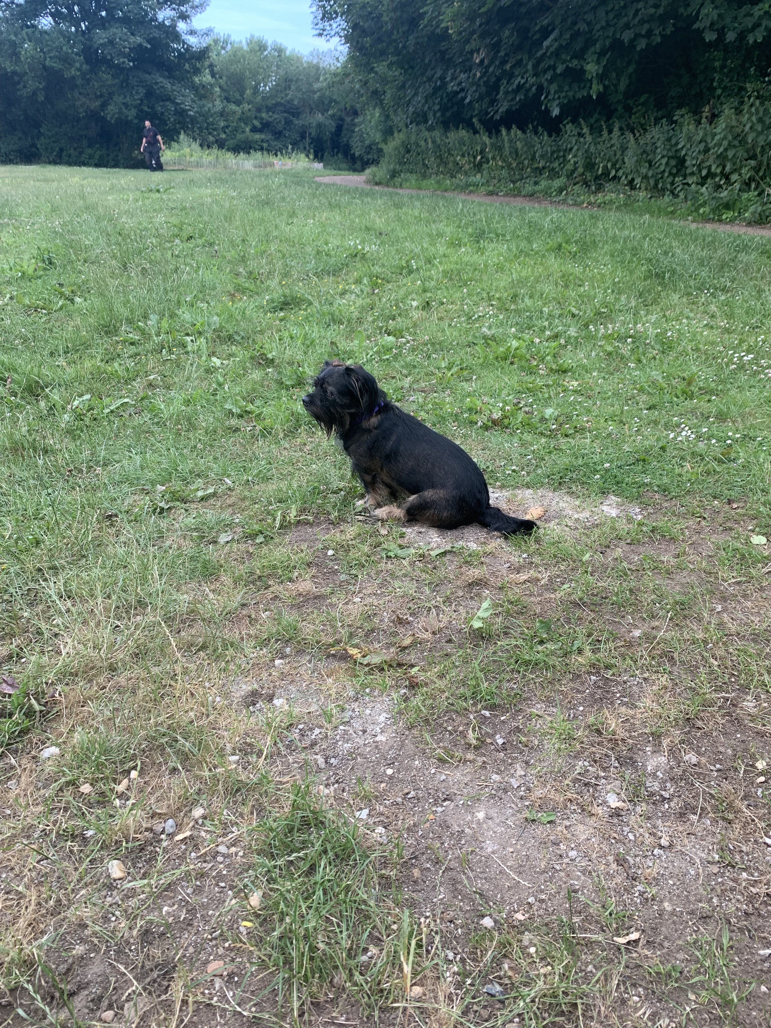 IMG_6793.jpeg