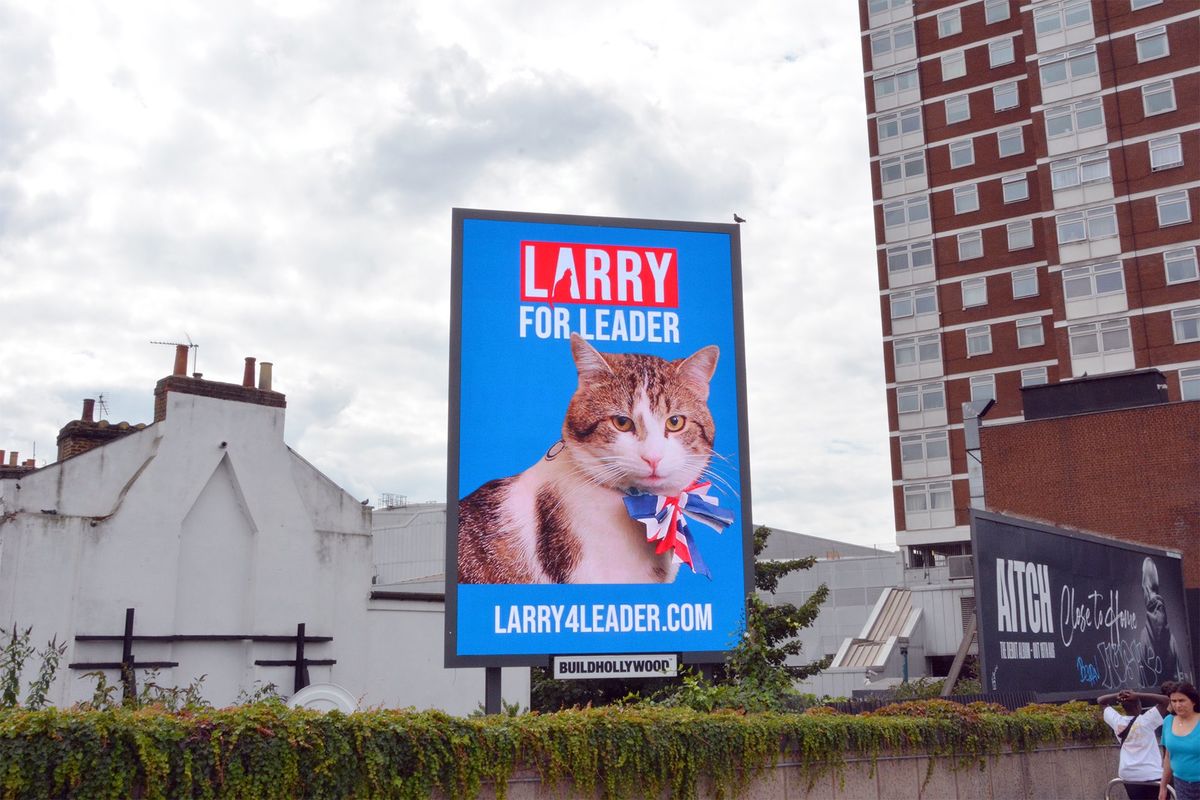 Larry 2.jpg