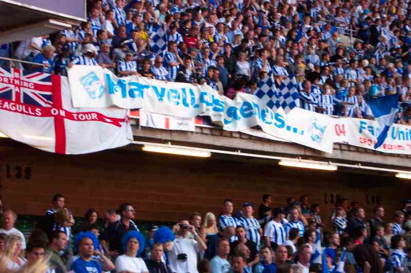 marvellous scenes.jpg