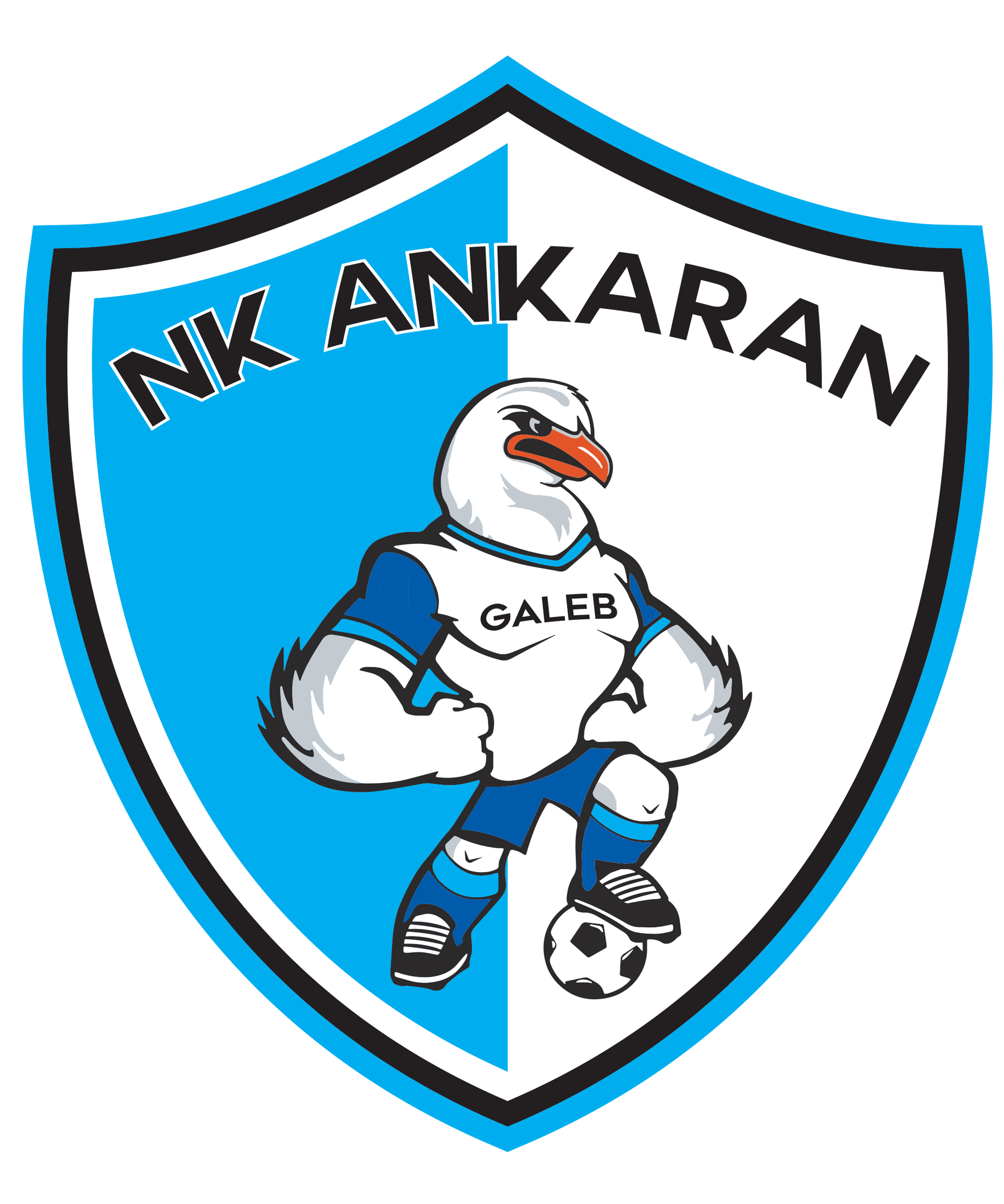 nk-ankaran-logo.png