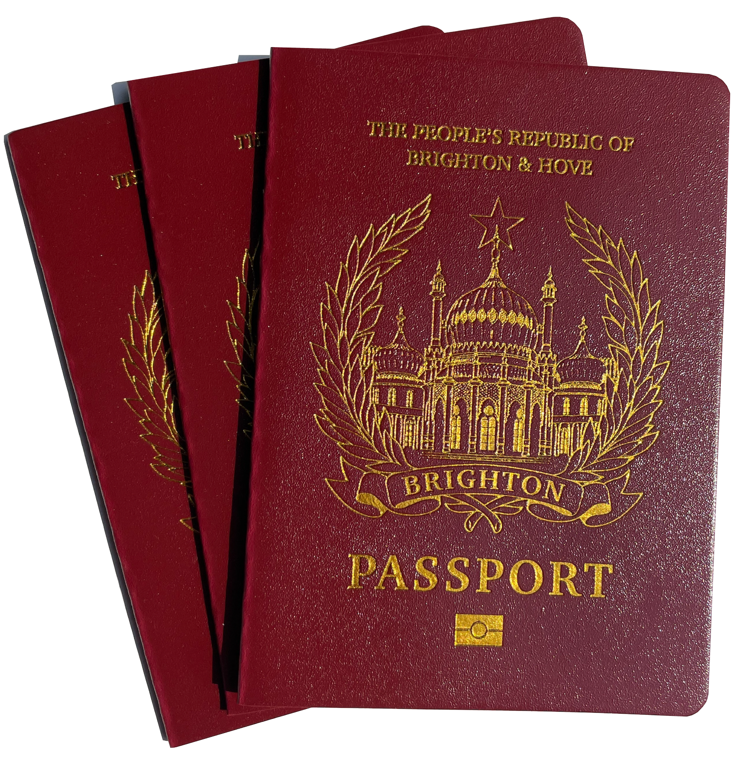 passport1-01.png