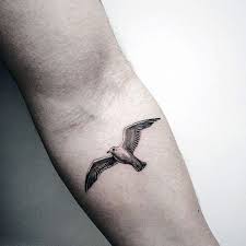 seagull tattoo.jpeg