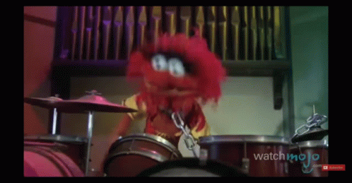 the-muppets-animal.gif