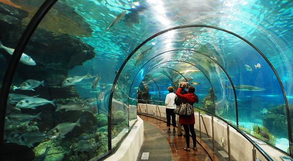 Tunnelaquarium.jpg