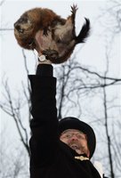APTOPIX_Groundhog_Day_sff_PACK101_20090202080338.jpg