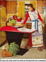 stupid_honeywell-cook_1.jpg