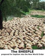 sheeplebap.jpg