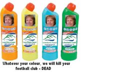 domestos.jpg