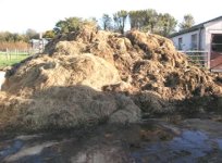 dung_heap.jpg