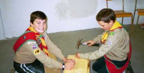 scout.jpg