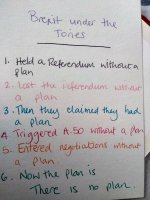 The Tory's plan.jpg