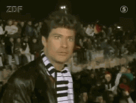 david-hasselhoff-berlin.gif