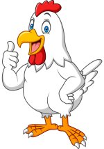 cartoon-happy-hen-giving-thumbs-up-vector-20862209.jpg