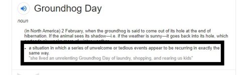 groundhog.jpg