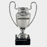 uefa-champions-league-trofeos-tranche-fifa-world-cup-european-champion-clubs-cup-trophy-trophy.jpg