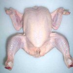 Frozen_Chicken_Dressed_.jpg