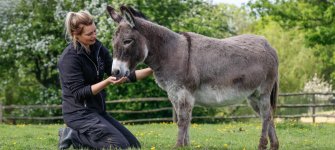 Ruby_Donkey_Photography_Raystede_May_2016-23-of-58-Copy.jpg