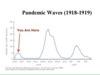 Pandemic 18-19.jpg