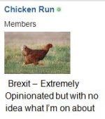 Chicken run.jpg