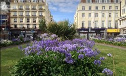 New Steine.JPG