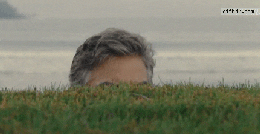 94D15307-B475-4AF9-A71B-DF09D74B9407.gif