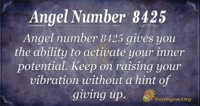 8425_angel_number.jpg