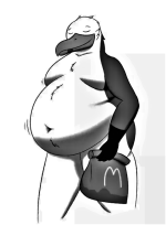 fat gull.png