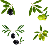 160-1608668_15-olive-branch-wreath-png-for-free-download.png