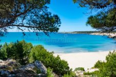 crystal-clear-blue-mediterranean-sea-water-st-croix-martigues-beach-pine-trees-provence-france-g.jpg