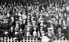 B&H Albion vs Torquay Jan 30th 1932.jpg
