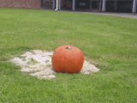 pumkin-exploding-gif.gif