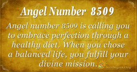 8509_angel_number.jpg