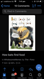 Bats use sound.png