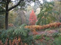 Wakehurst 2009 (16) (Medium).JPG