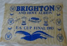 Seagulls-Brighton-And-Hove-Albion-FC-Football-Wembley.jpg