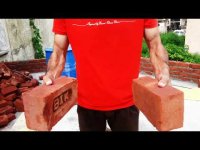 bricks.jpg