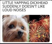 2CD96A64-F79E-4022-B668-FA60D2CEA40B.jpeg