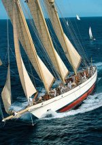 1acb8b4dd0e3f8a688a52f7e7d6ab1a2--sailing-boat-sailing-yachts.jpg 1acb8b4dd0e3f8a688a52f7e7d6ab1a2--sailing-boat-sailing-yachts.jpg