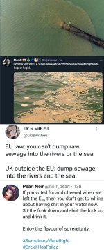 sewage.jpg