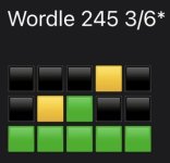 E12599D6-4A2D-489E-BCB4-1B77A47D7CF2.jpeg